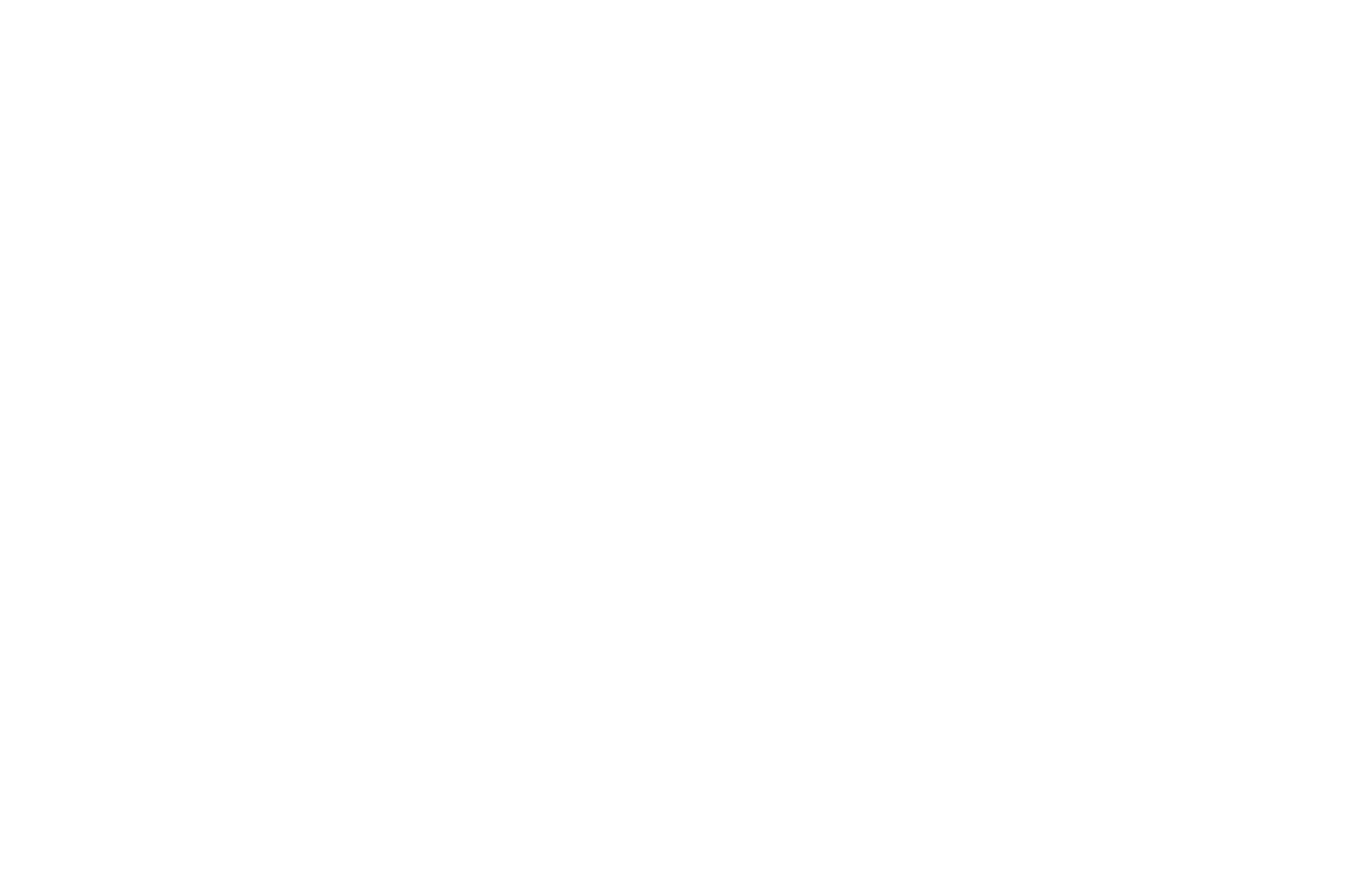 Official Selection — Touchstone Independent Film Festival 2025